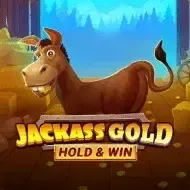 Jackass Gold Hold & WinNovomatic game thumbnail